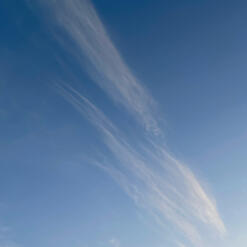 photo taken by me